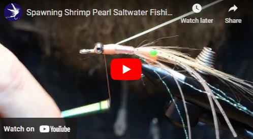 Tying the Spawning Shrimp Fishing Fly
